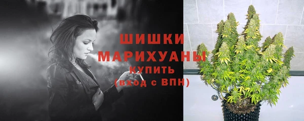 сатива Абаза