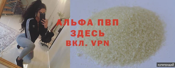 сатива Абаза