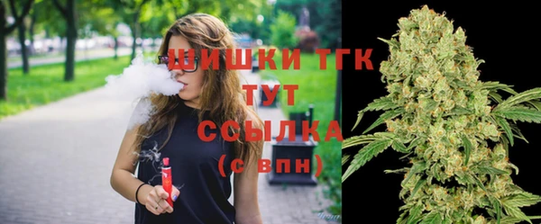 амф Надым