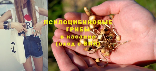 дживик Аша