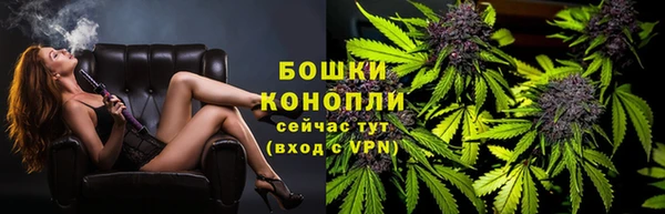 сатива Абаза