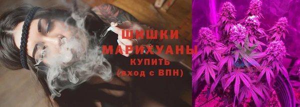 сатива Абаза