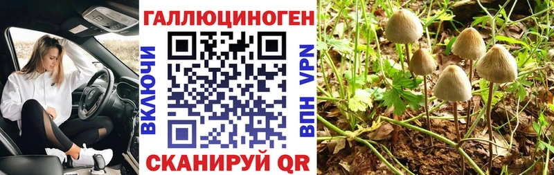 Псилоцибиновые грибы мицелий  darknet Telegram  Приволжск  купить  цена 